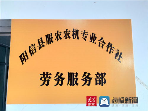 合作社里的新引擎 陽信流坡塢鎮(zhèn)組建勞務(wù)服務(wù)部，鋪就家門口的就業(yè)路